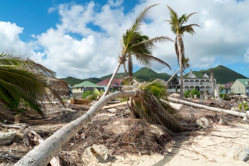 Rebuild Hurricane-Ravaged Areas